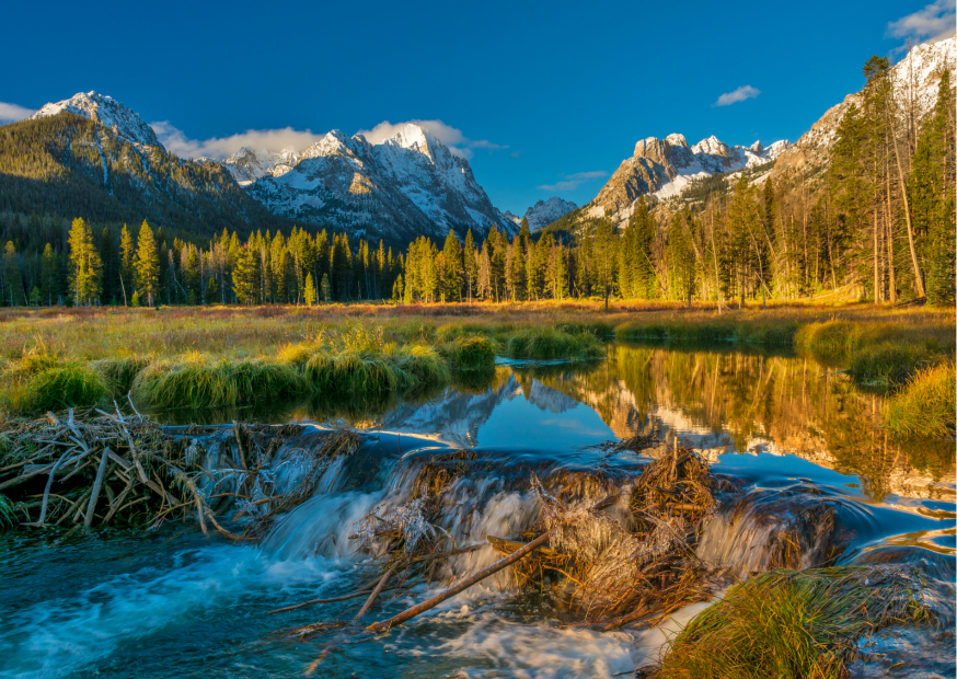 North Idaho